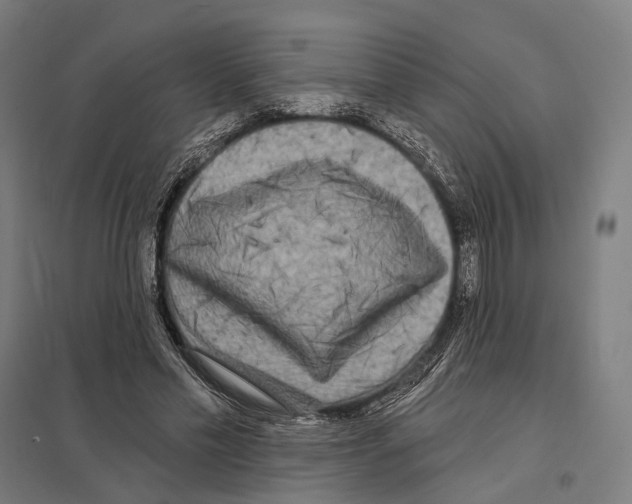 X0000097630589200803281102