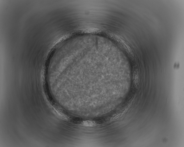 X0000097630591200803281102