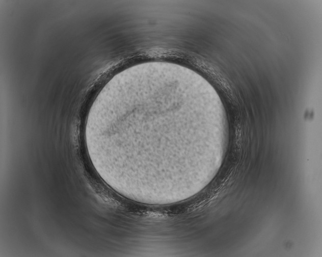 X0000097630592200803281102