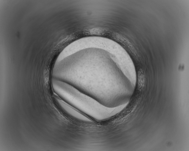 X0000097630593200803281102