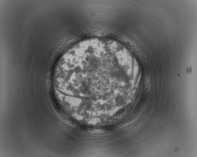 X0000097630594200803281102