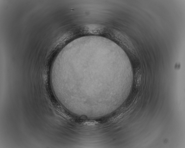 X0000097630595200803281102