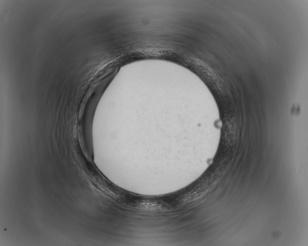 X0000097630596200803281102