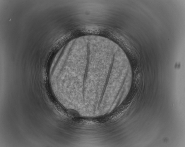 X0000097630597200803281102