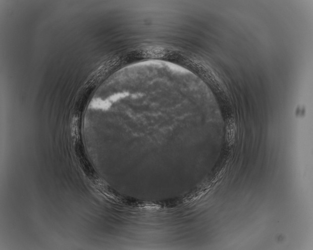 X0000097630598200803281102