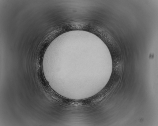 X0000097630599200803281102