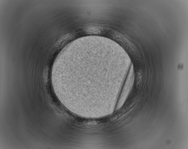 X0000097630600200803281102