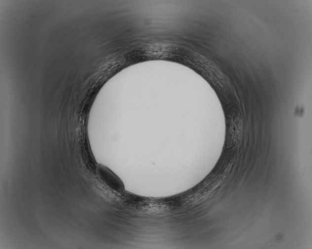 X0000097630601200803281102