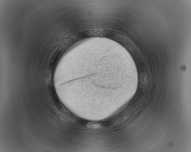 X0000097630602200803281102