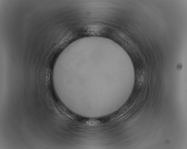 X0000097630603200803281102
