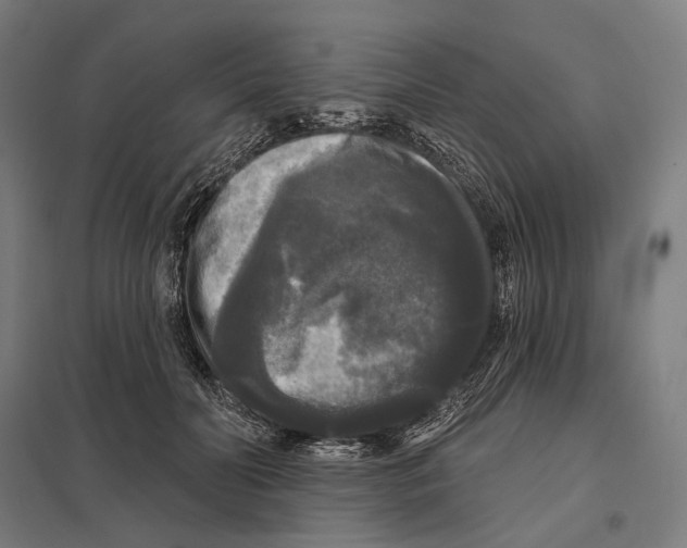 X0000097630606200803281102