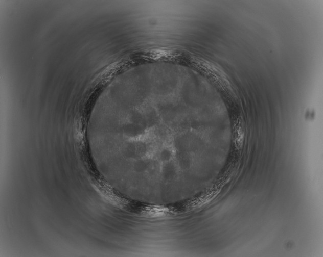 X0000097630607200803281102