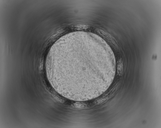 X0000097630608200803281102