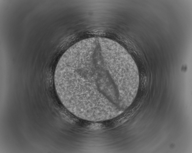X0000097630609200803281102