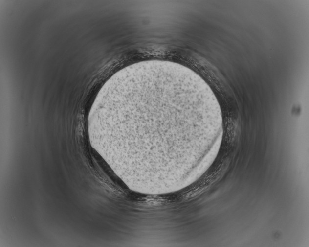 X0000097630612200803281102