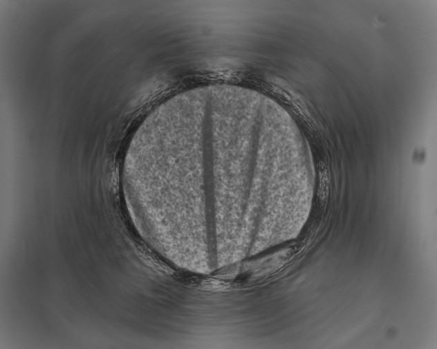 X0000097630613200803281102