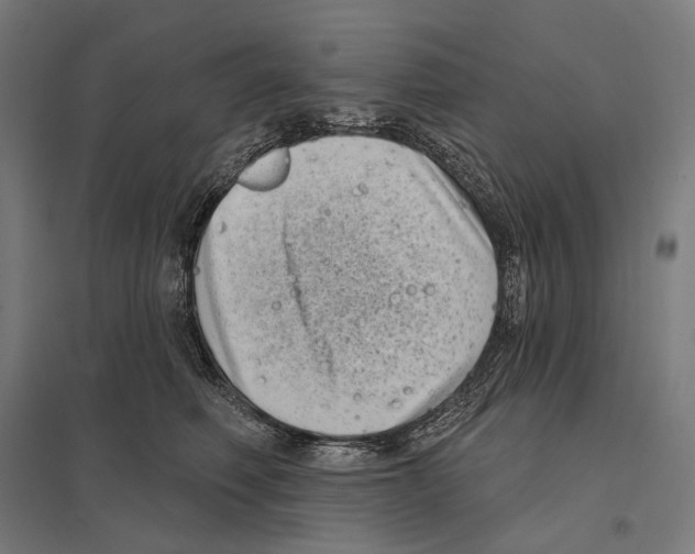 X0000097630614200803281102