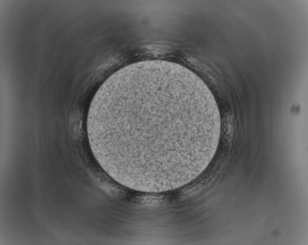 X0000097630615200803281102