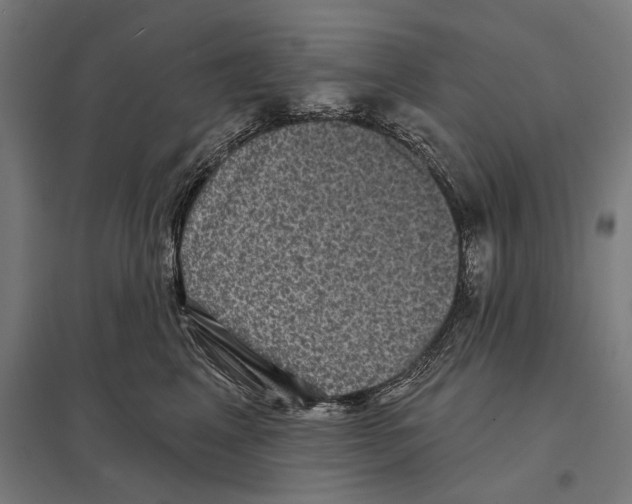X0000097630617200803281102