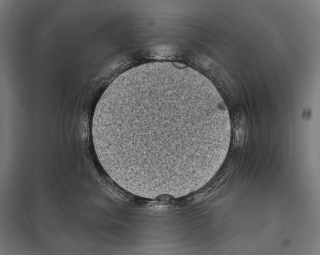 X0000097630620200803281102