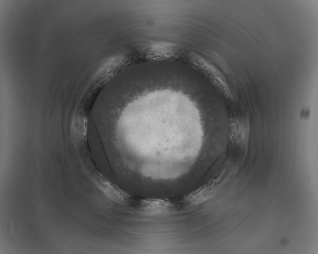 X0000097630621200803281102