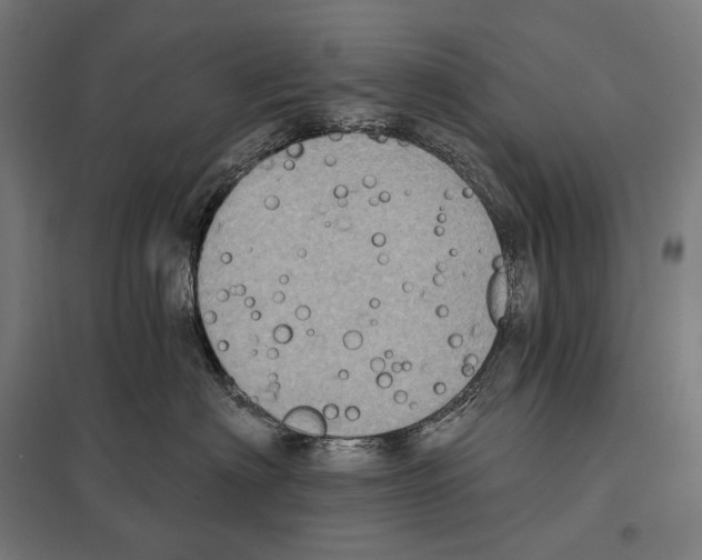 X0000097630622200803281102