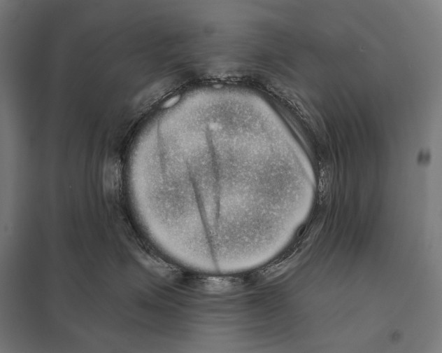 X0000097630623200803281102