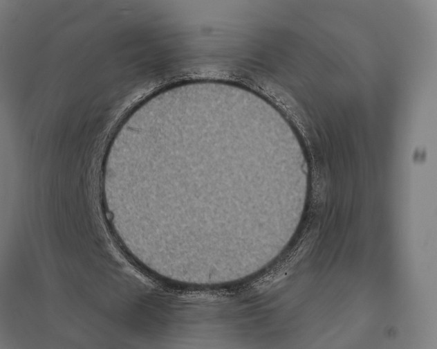 X0000097630625200803281101