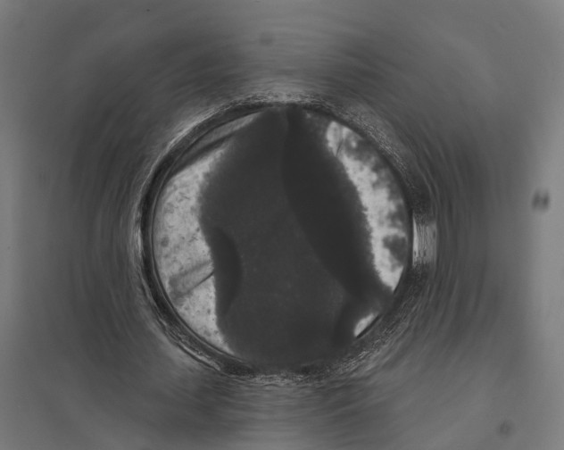 X0000097630627200803281101