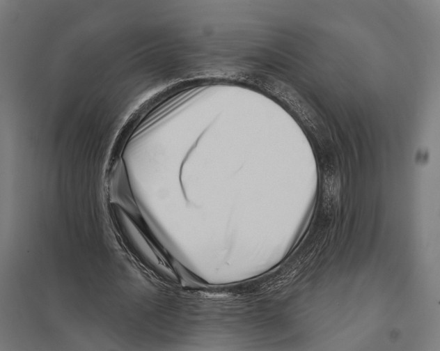 X0000097630628200803281101