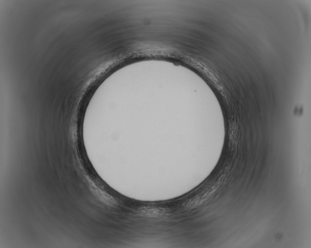 X0000097630629200803281101