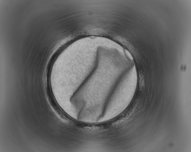 X0000097630630200803281101