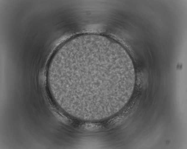 X0000097630632200803281101