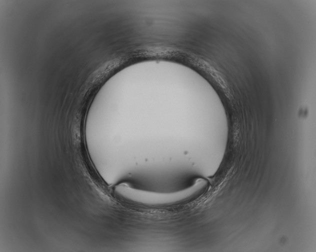 X0000097630633200803281101