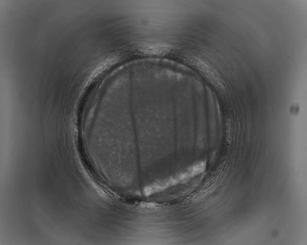 X0000097630634200803281101