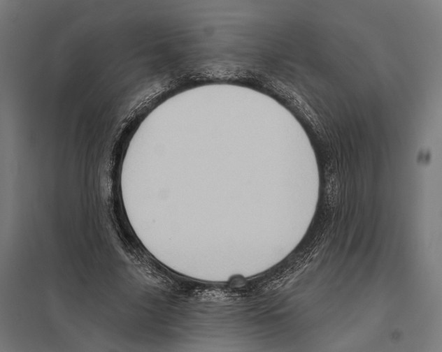 X0000097630635200803281101