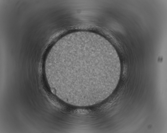 X0000097630636200803281101