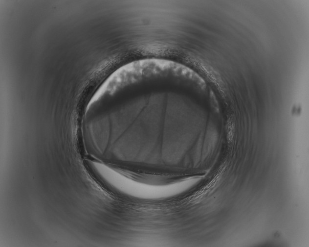 X0000097630637200803281101