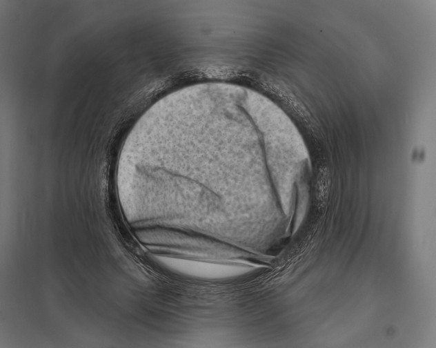 X0000097630639200803281101