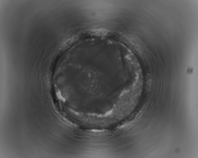 X0000097630641200803281101