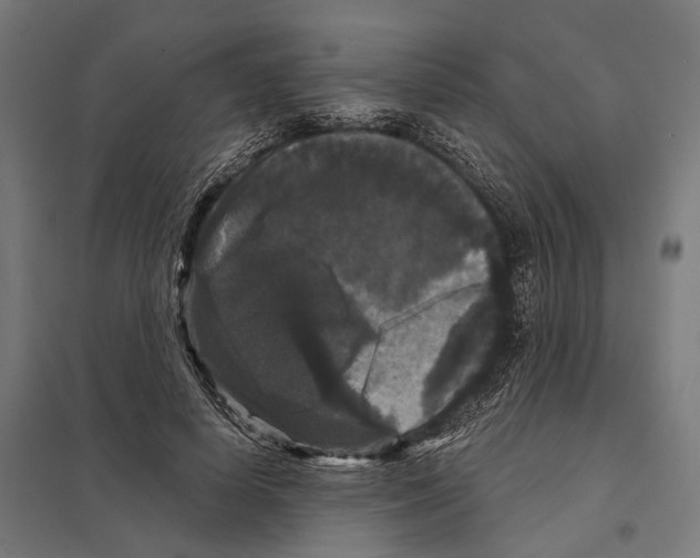 X0000097630642200803281101