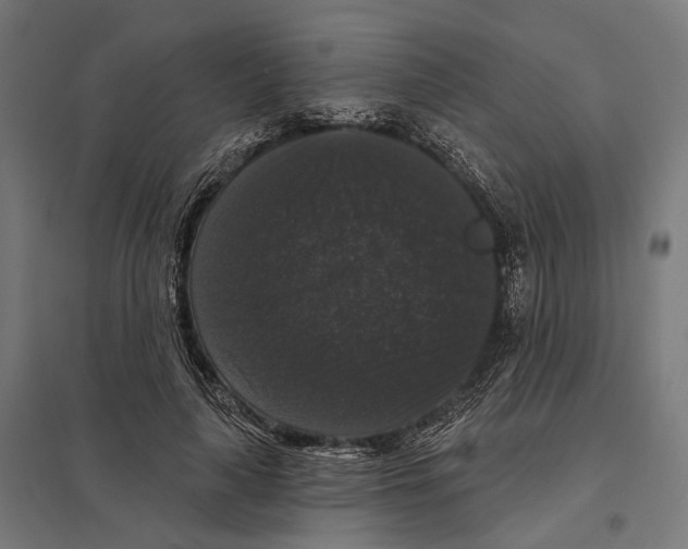 X0000097630643200803281101