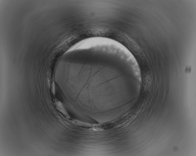 X0000097630644200803281101