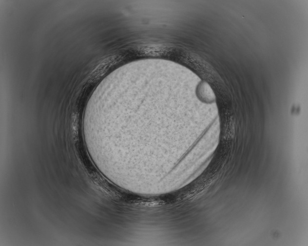 X0000097630646200803281101