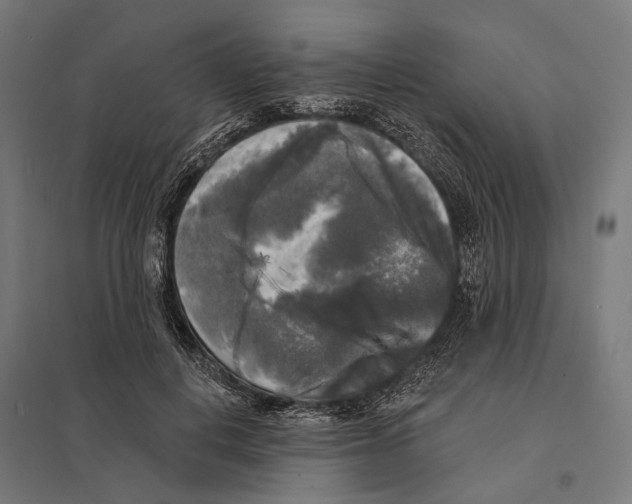 X0000097630648200803281101