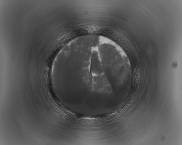 X0000097630650200803281101