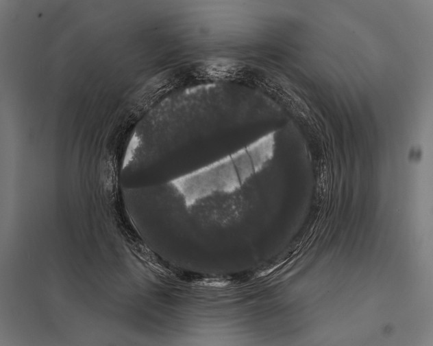 X0000097630651200803281101
