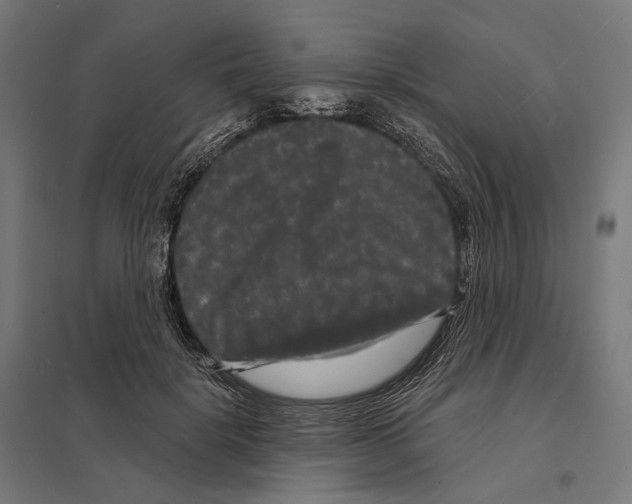 X0000097630652200803281101