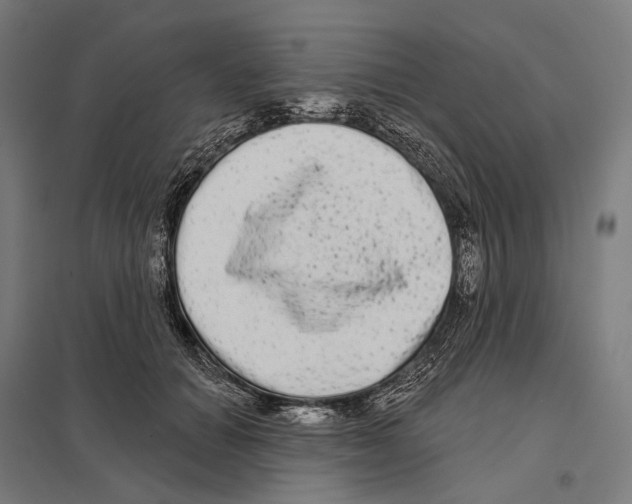X0000097630654200803281101