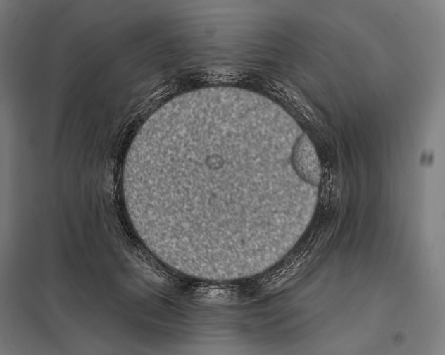 X0000097630655200803281101